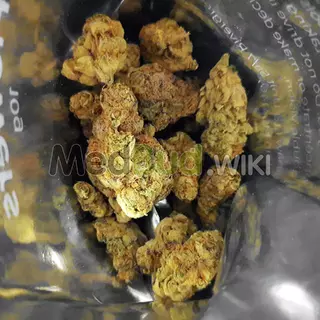 bud-four20-bcp-t24-black_cherry_punch.bea89cc8c46efc1257bfe0503352da7c.b73bd9e6fbeabbda2e2687...webp