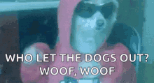 1728929564335.gif