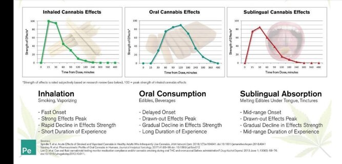 THC Effects Vs Time.jpg