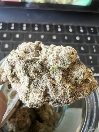 IMG_7238.jpeg