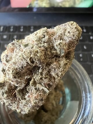 IMG_7240.jpeg