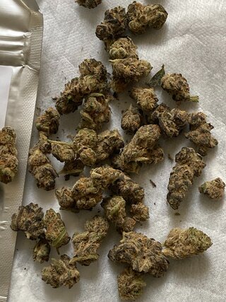 IMG_1566.jpeg
