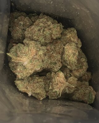 IMG_6038.jpeg