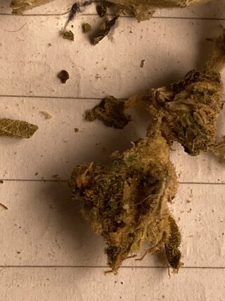 IMG_1635.jpeg