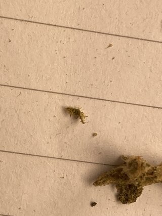 IMG_1638.jpeg