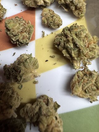 IMG_5911.jpeg