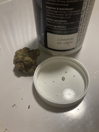 IMG_1670.jpeg