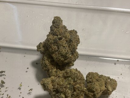 IMG_1678.jpeg