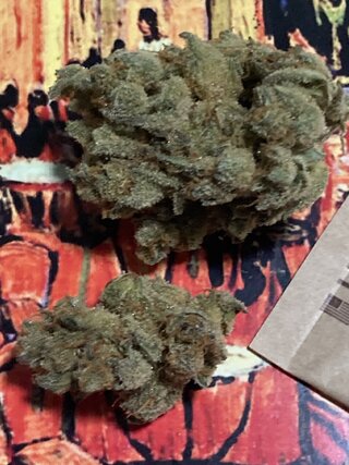 IMG_1705.jpeg