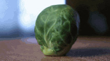 1726908102452.gif