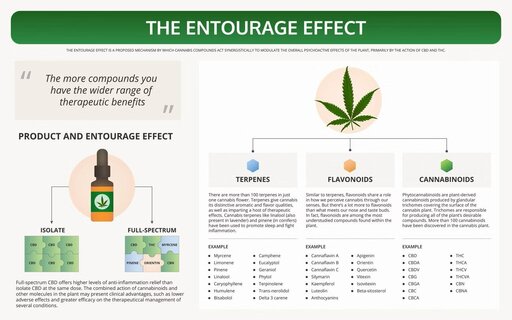 1706284481-the-entrourage-effect.jpg