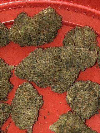IMG_1729.jpeg