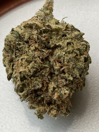 IMG_1750.jpeg