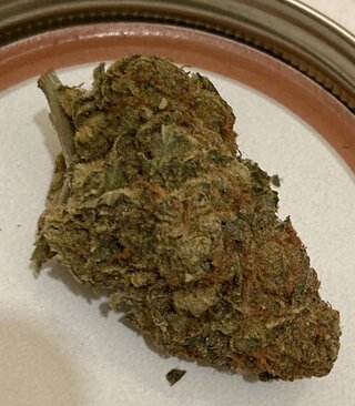 IMG_1754.jpeg IMG_1754.jpeg
