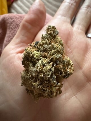 IMG_6291.jpeg