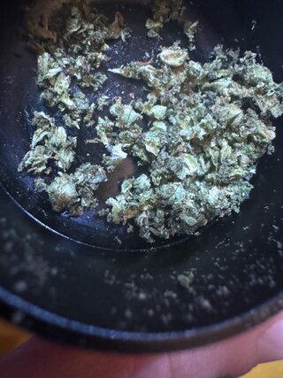 IMG_6321.jpeg IMG_6321.jpeg