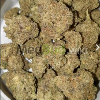 Screenshot_17-12-2024_17299_medbud.wiki.jpeg