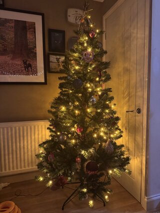 IMG_6379.jpeg