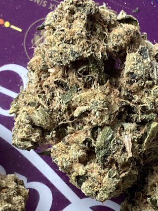IMG_1802.jpeg