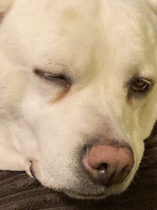 IMG_1812.jpeg