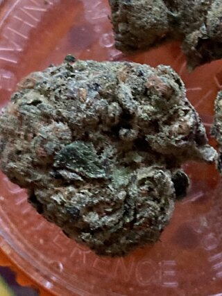 IMG_1822.jpeg