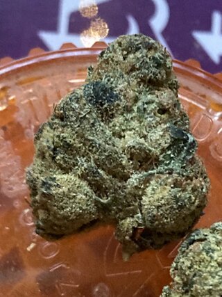 IMG_1821.jpeg