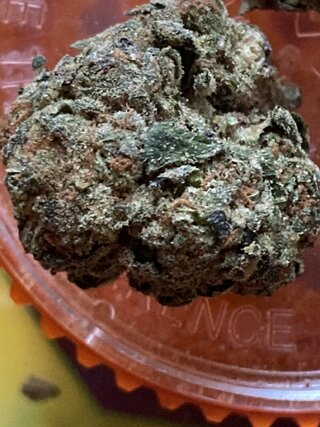 IMG_1819.jpeg