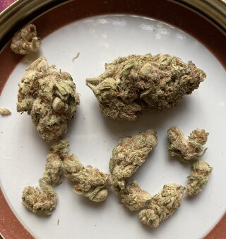 IMG_1830.jpeg