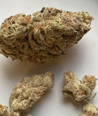 IMG_1831.jpeg