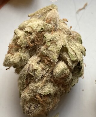 IMG_1832.jpeg