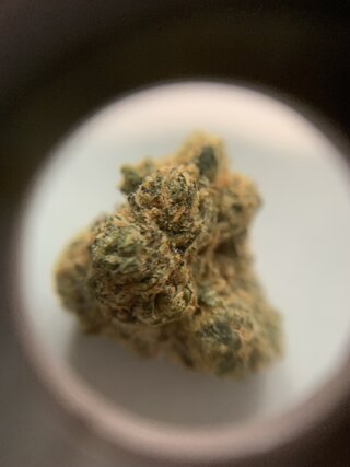 IMG_1757.jpeg