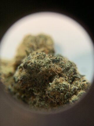 IMG_1759.jpeg