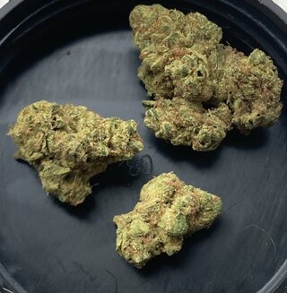 IMG_1971.jpeg