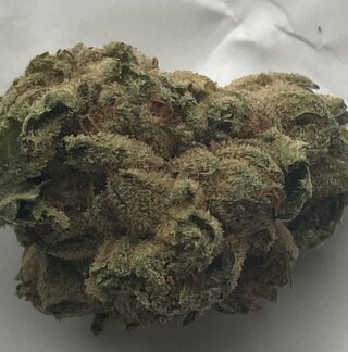 IMG_2012.jpeg