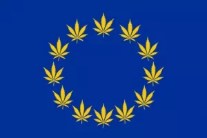 European Union flag with cannabis leaf symbols replacing stars.