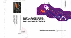 Cash-Companies-Cannabis-16-1-300x160.webp