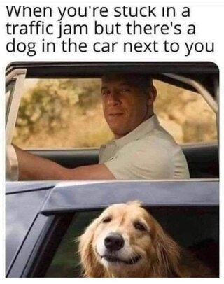 557590540_786475427690211_1322179288999743982_n.jpg