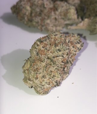 IMG_1878.jpeg