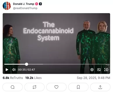 rump’s Truth Social post sharing a CBD healthcare video boosts cannabis stocks.