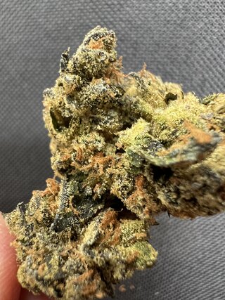 IMG_3013.jpeg