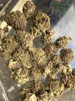 IMG_2879.jpeg IMG_2879.jpeg