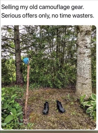 1759863144685.png