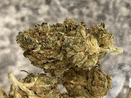 IMG_2890.jpeg