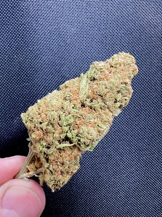 IMG_3103.jpeg