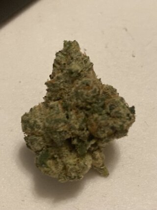 IMG_2894.jpeg