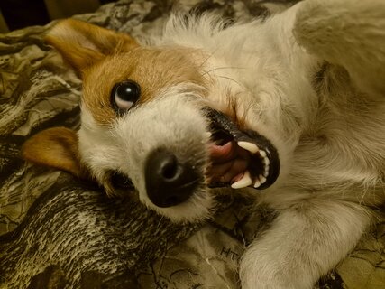 20240814_000556.jpg