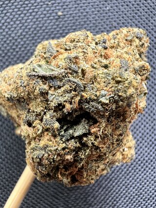 IMG_3135.jpeg