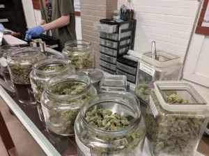 Interior view of a licensed cannabis dispensary representing future pilot project sites in Germany.