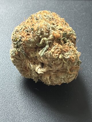 IMG_6530.jpeg