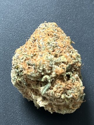 IMG_6529.jpeg
